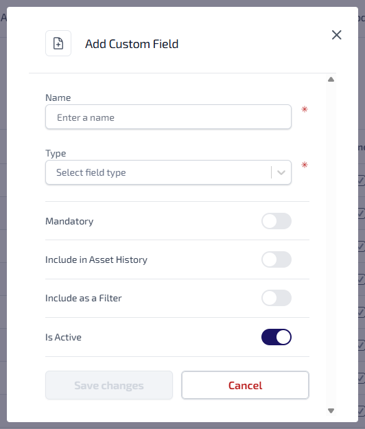 Asset Custom Fields